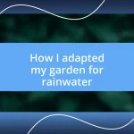 How I adapted my garden for rainwater