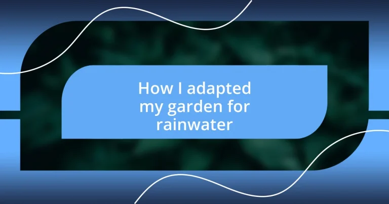 How I adapted my garden for rainwater