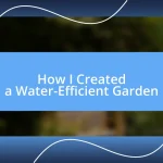 How I Created a Water-Efficient Garden