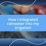 How I integrated rainwater into my irrigation