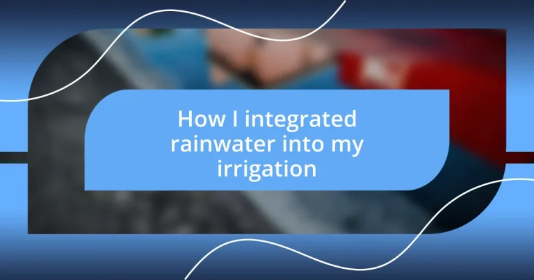 How I integrated rainwater into my irrigation