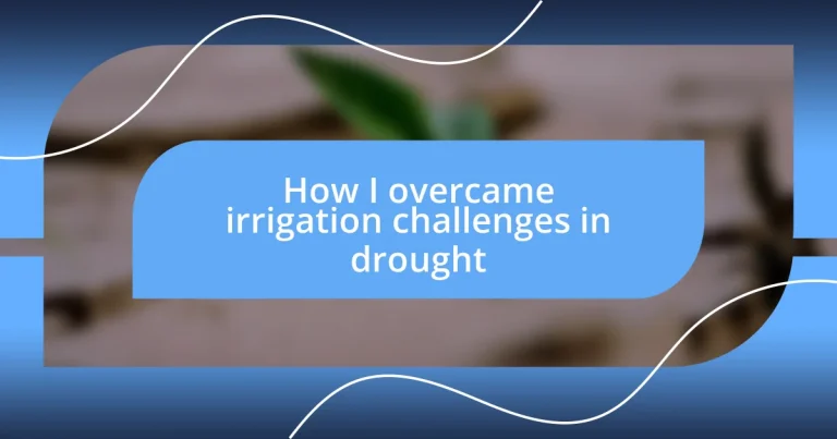 How I overcame irrigation challenges in drought