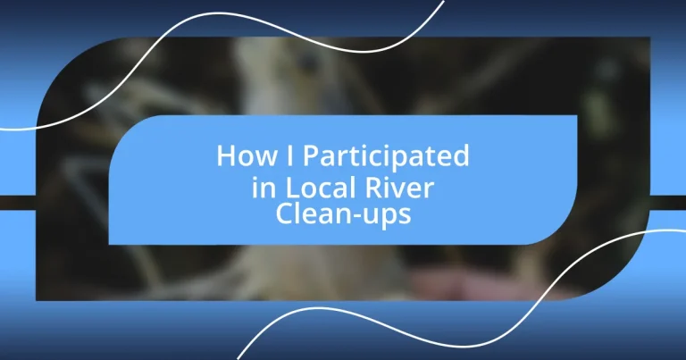 How I Participated in Local River Clean-ups