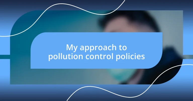 My approach to pollution control policies