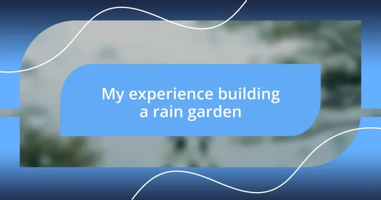 My experience building a rain garden