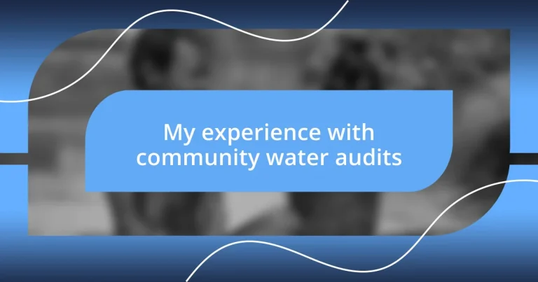 My experience with community water audits