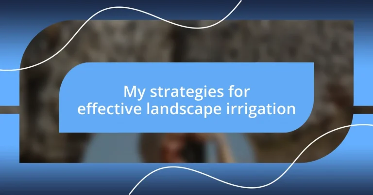 My strategies for effective landscape irrigation