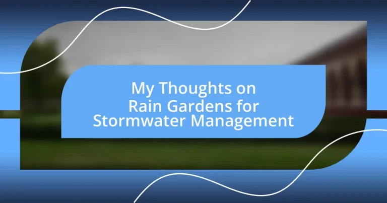 My Thoughts on Rain Gardens for Stormwater Management