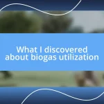 What I discovered about biogas utilization