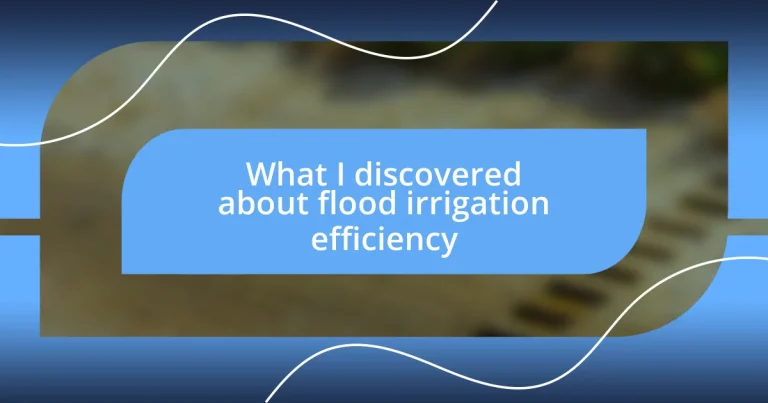 What I discovered about flood irrigation efficiency