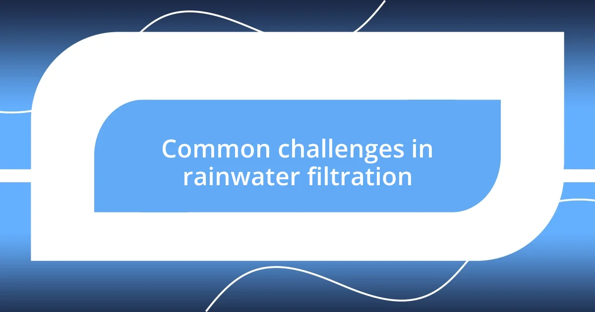 Common challenges in rainwater filtration